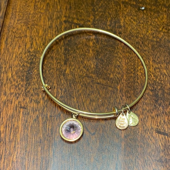 Alex and Ani bracelet - Picture 6 of 6